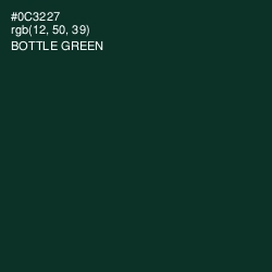 #0C3227 - Bottle Green Color Image